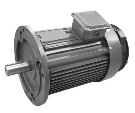 YP變頻專用電機